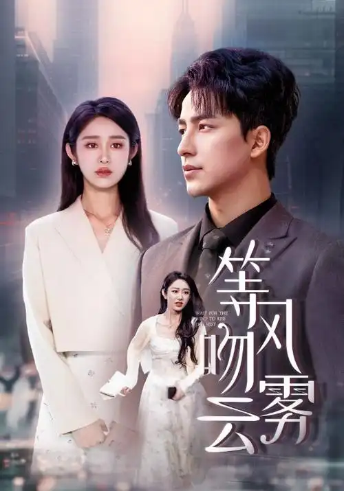 热播电视剧全集雾港迷航在线观看